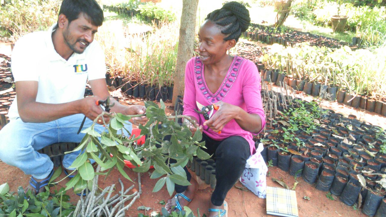 Participant from Uganda, learning propagation techniques